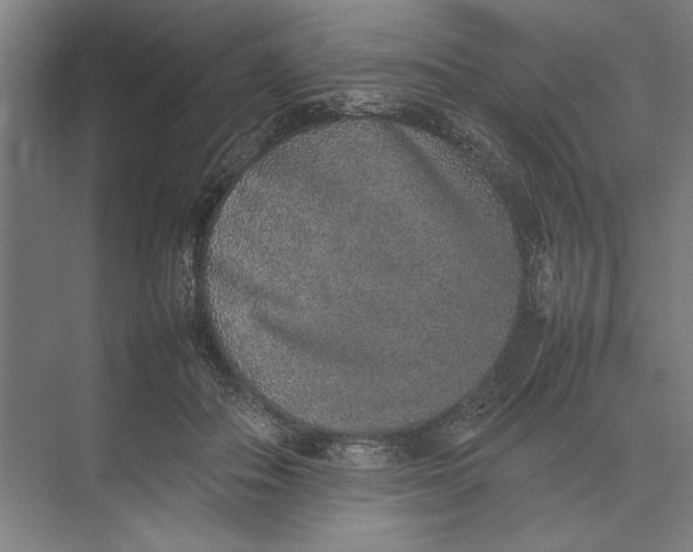 X0000074970506200609221826