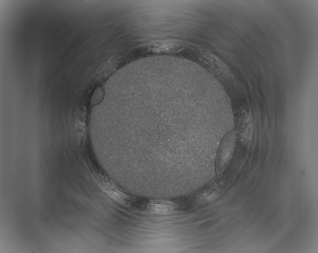 X0000074970510200609221826