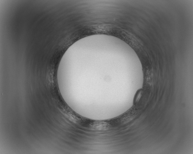 X0000074970514200609221826