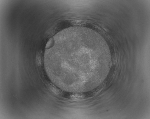 X0000074970515200609221826