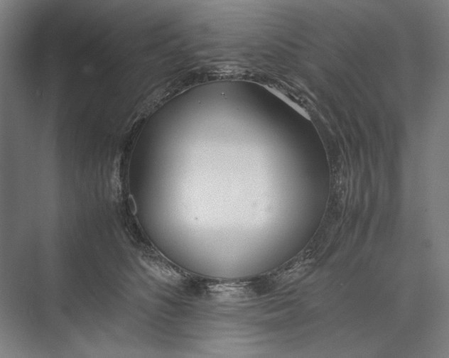 X0000074970516200609221826