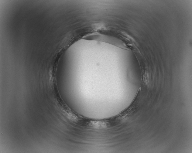 X0000074970520200609221826