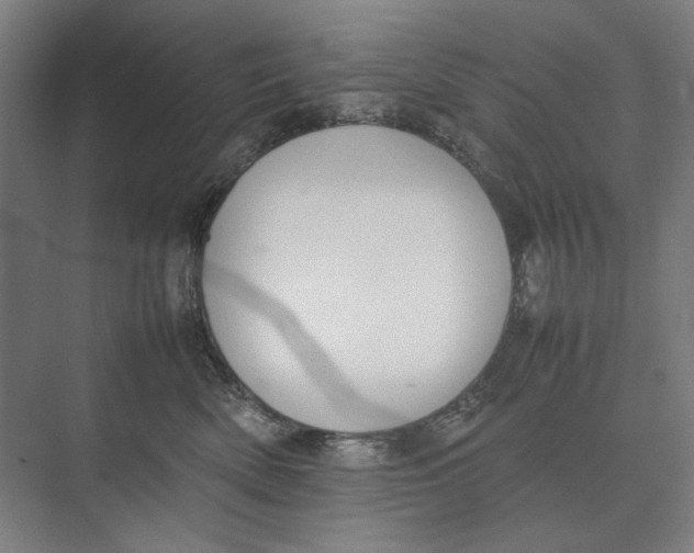 X0000074970522200609221826