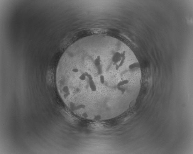 X0000074970523200609221826