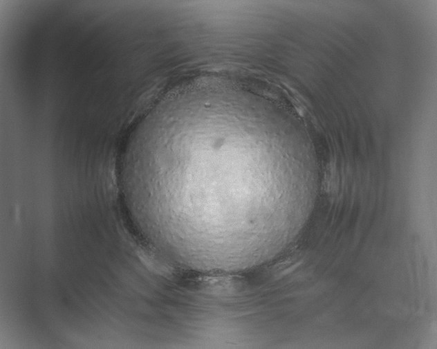 X0000074970524200609221826