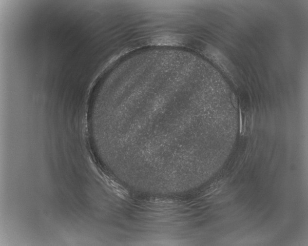 X0000074970531200609221825