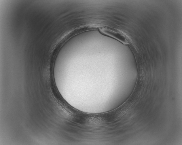 X0000074970535200609221825