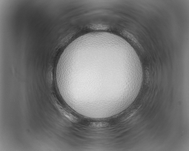 X0000074970541200609221825