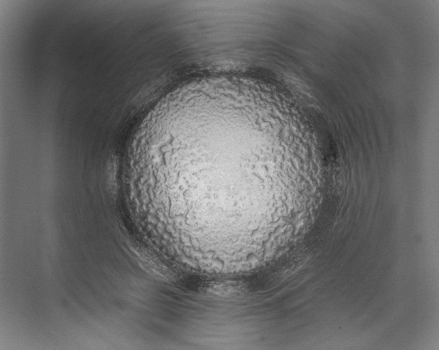 X0000074970550200609221826