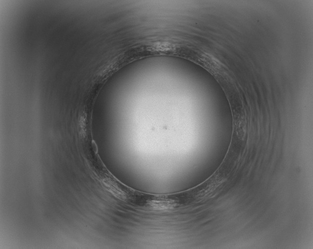 X0000074970556200609221826