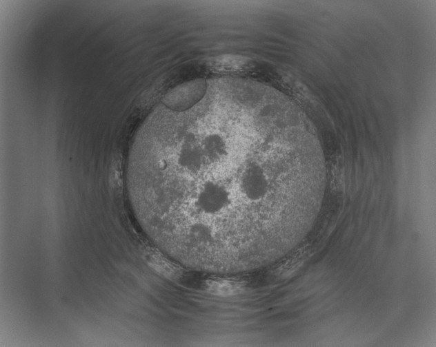 X0000074970561200609221826