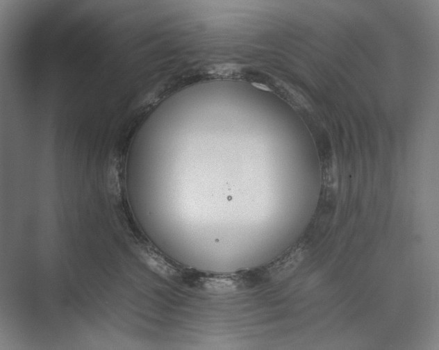 X0000074970572200609221826