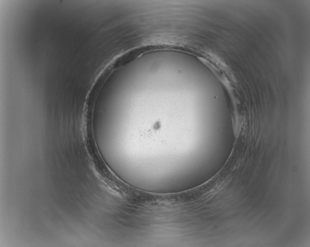 X0000074970580200609221825