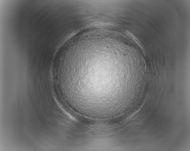 X0000074970581200609221825