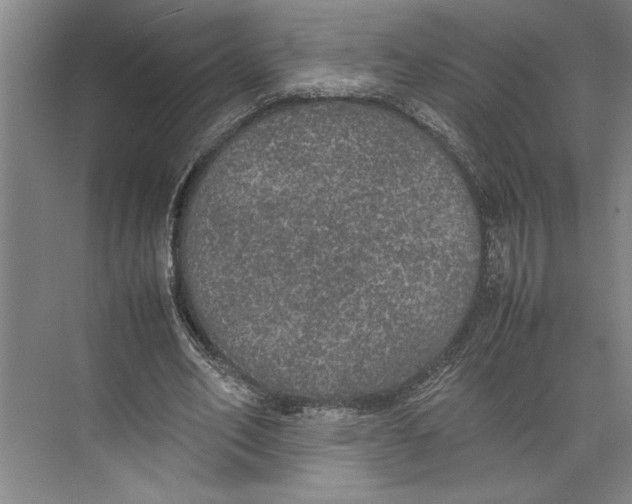 X0000074970582200609221825