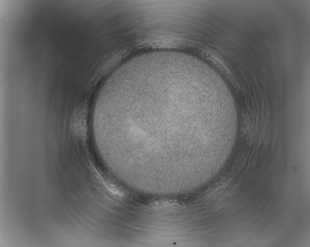 X0000074970586200609221825