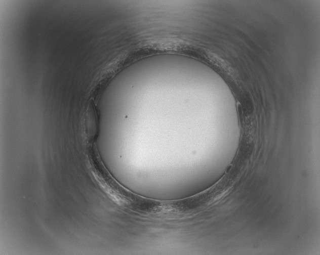 X0000074970589200609221825