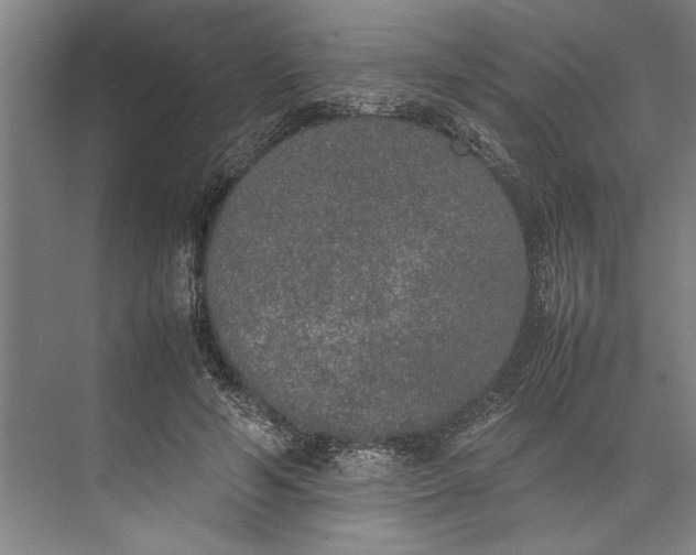 X0000074970594200609221825