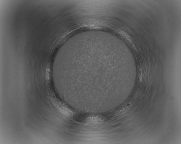 X0000074970596200609221825