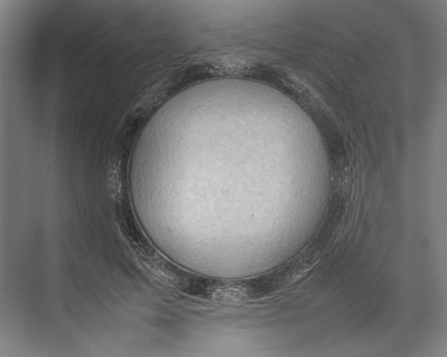 X0000074970599200609221825