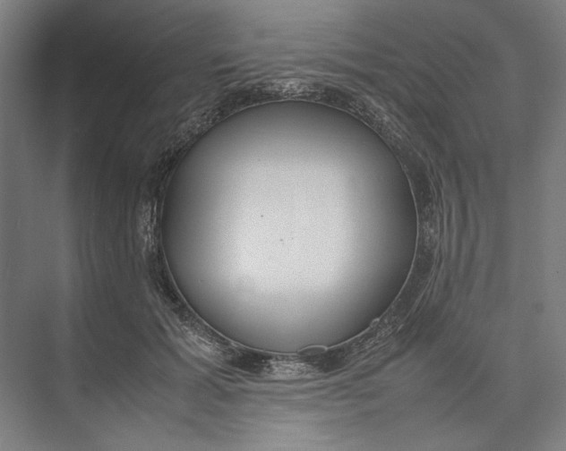 X0000074970605200609221825