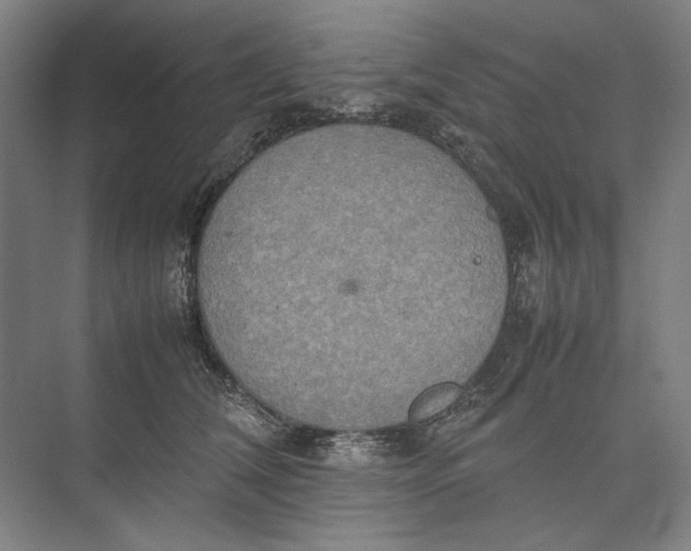 X0000074970612200609221825