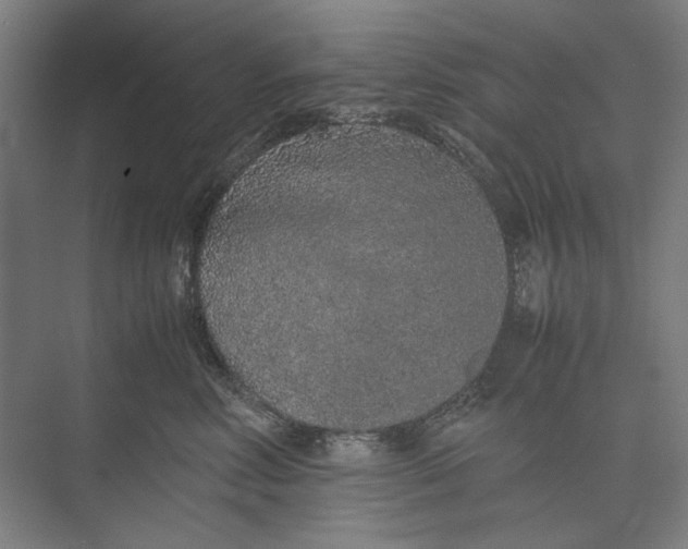 X0000074970618200609221825