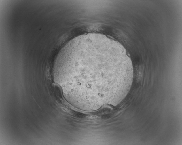 X0000074970619200609221825