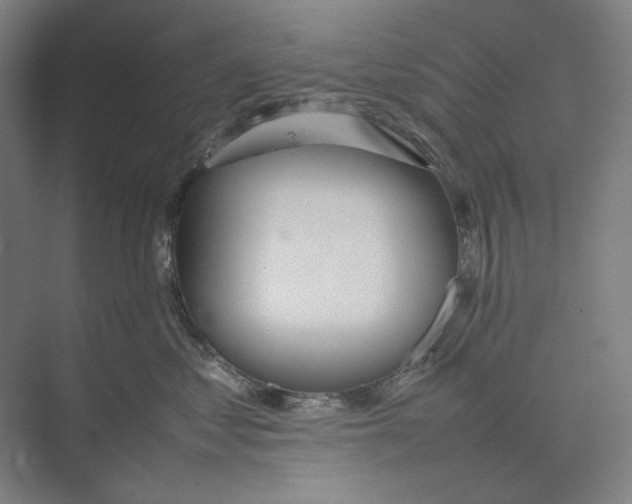 X0000074970621200609221824