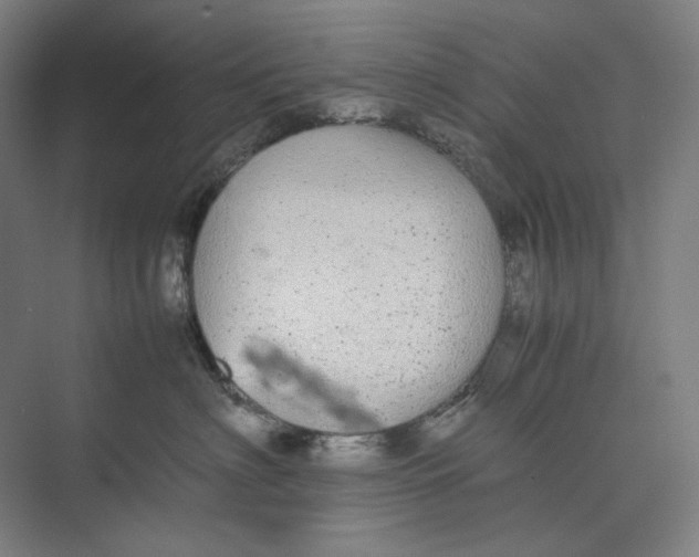 X0000074970622200609221824