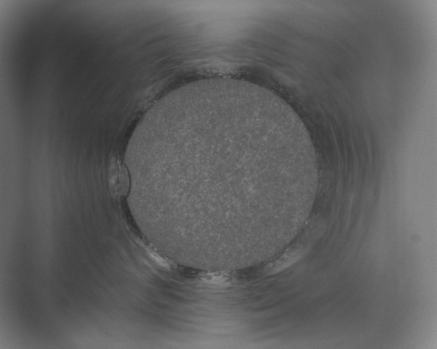 X0000074970624200609221824