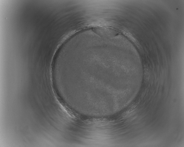 X0000074970626200609221824