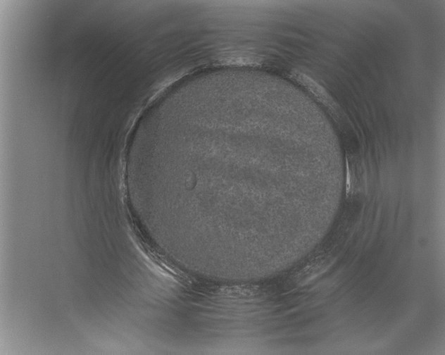 X0000074970627200609221824