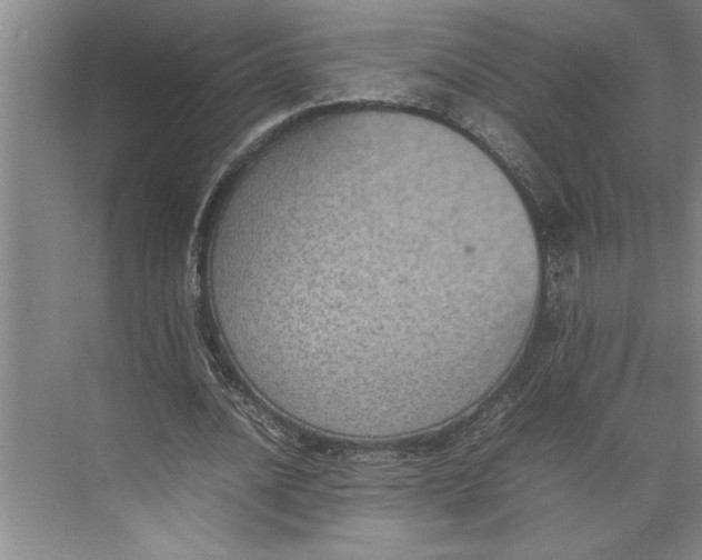 X0000074970628200609221824