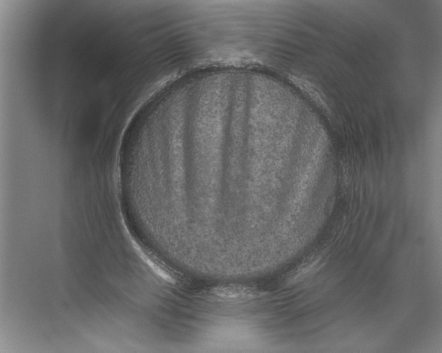 X0000074970630200609221824