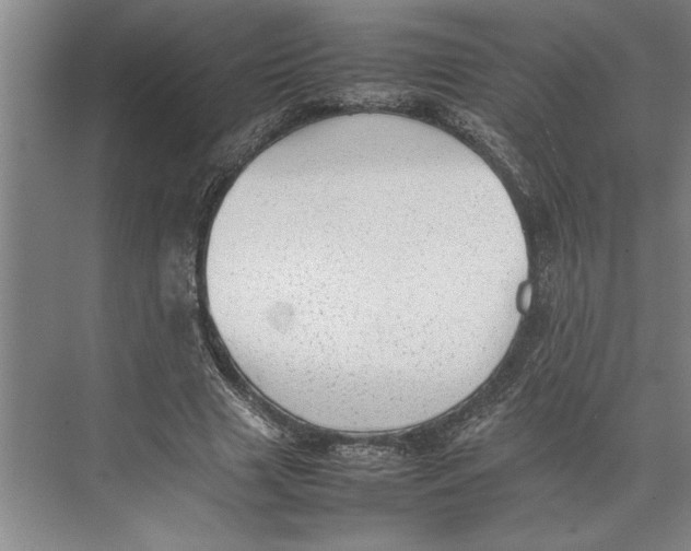 X0000074970633200609221824