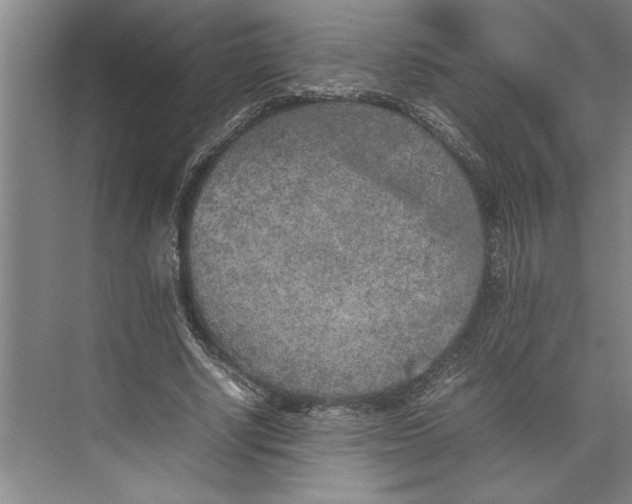 X0000074970634200609221824