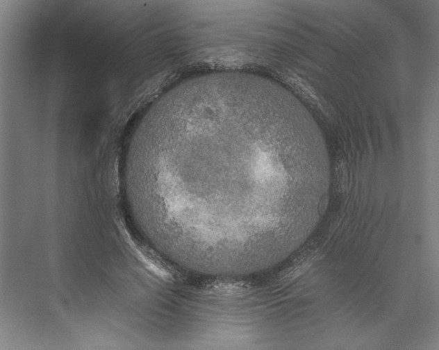 X0000074970638200609221824