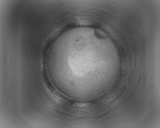 X0000074970639200609221824