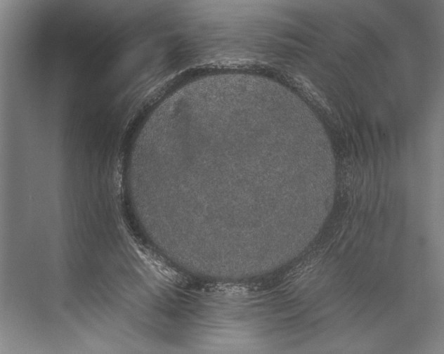 X0000074970640200609221824