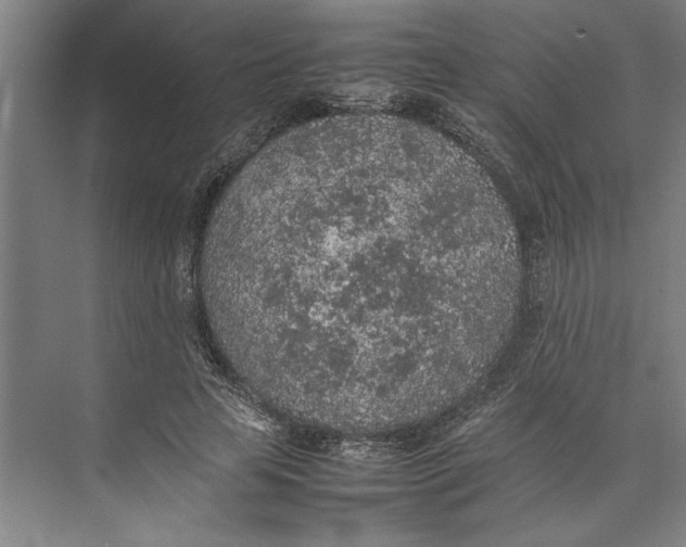 X0000074970641200609221824