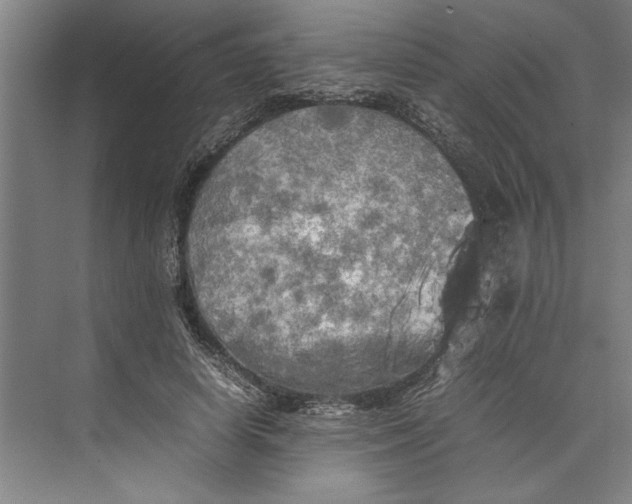 X0000074970642200609221824