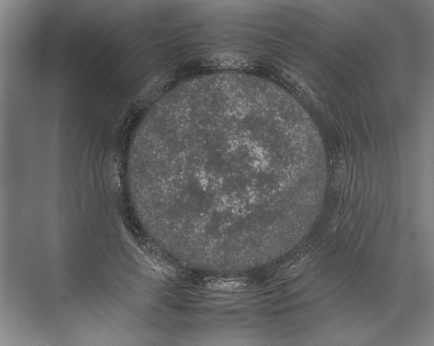 X0000074970643200609221824