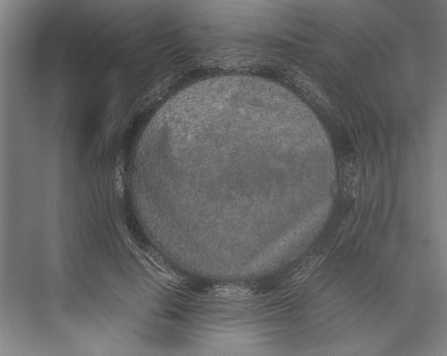 X0000074970644200609221824