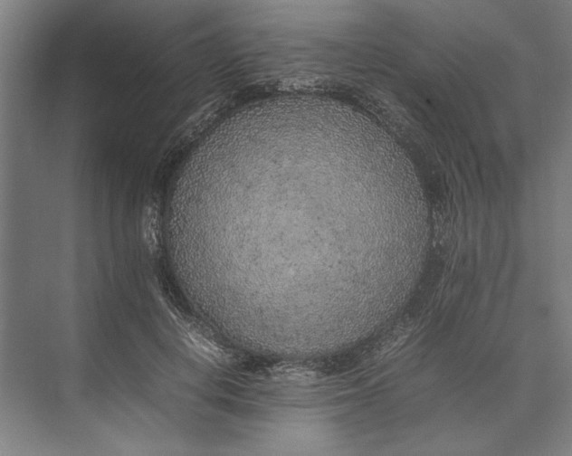 X0000074970648200609221824