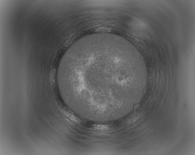 X0000074970649200609221824