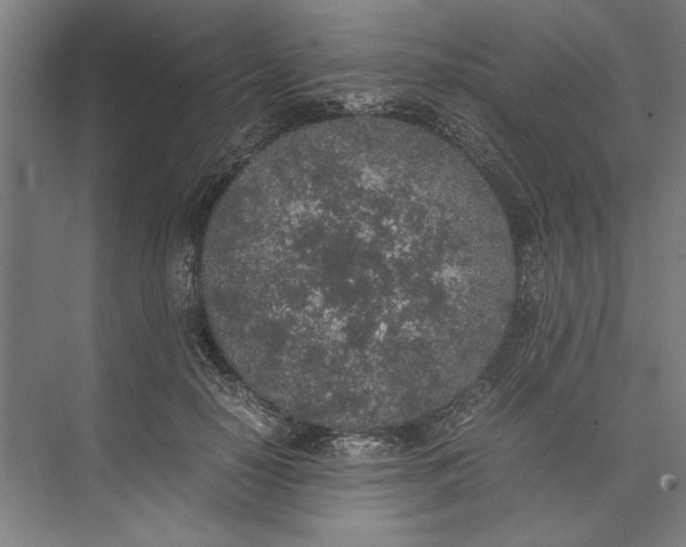 X0000074970650200609221824