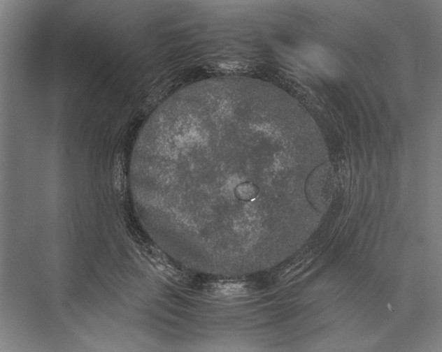 X0000074970651200609221824