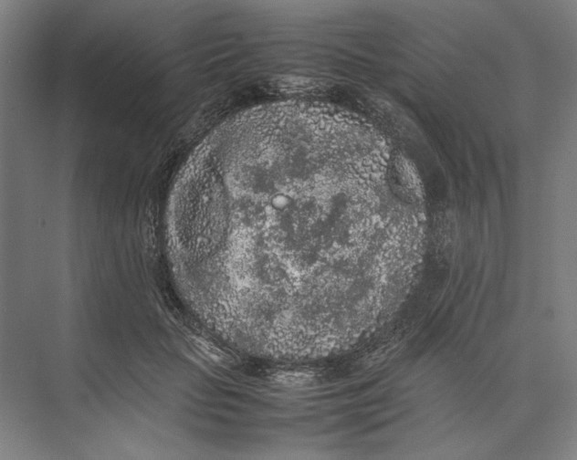 X0000074970653200609221824