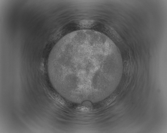 X0000074970655200609221824